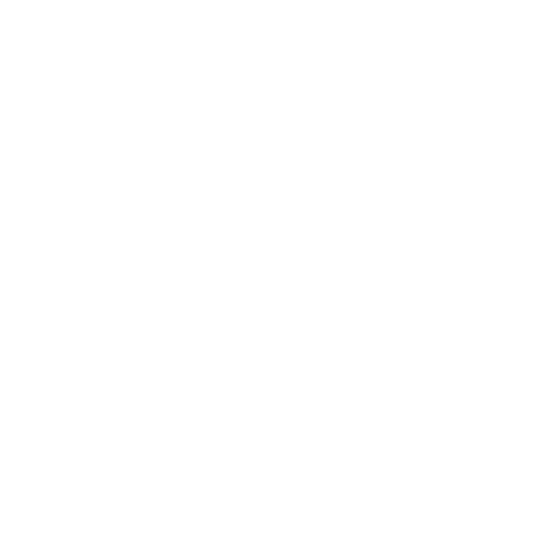 newsday.webp