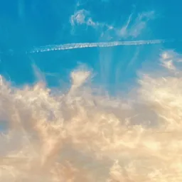 19a76f1696553e5c7cd10146e6cf4f43.webp
