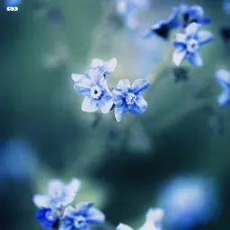 4036c55ea14cf0c9ee499c245cdc4413.webp