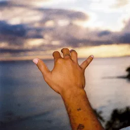 69032c92beddeabadb420f61fc0448ab.webp