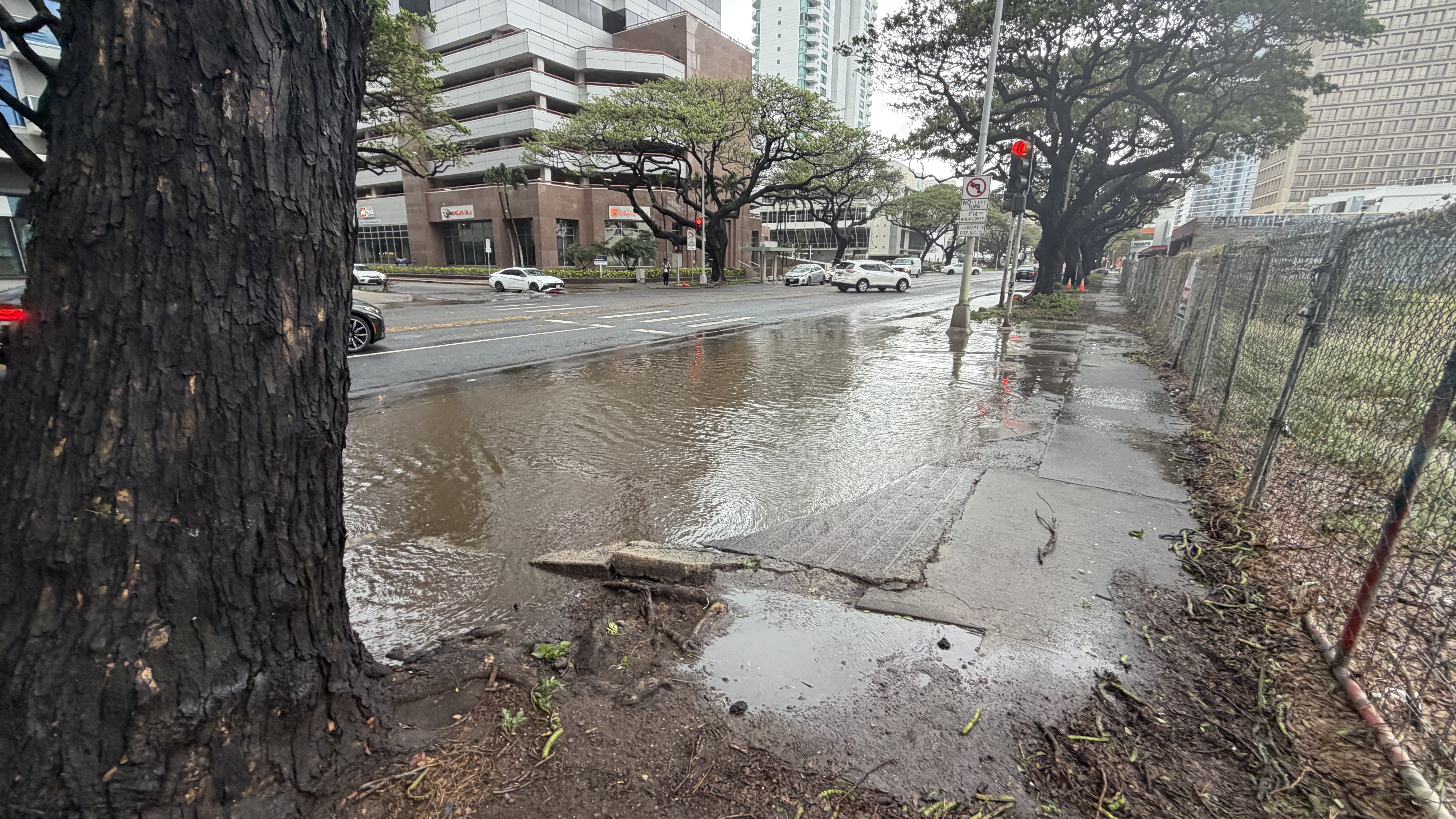 image_1773602408910_3.jpeg